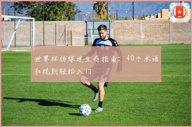 世界杯伪球迷生存指南:40个术语和规则轻松入门