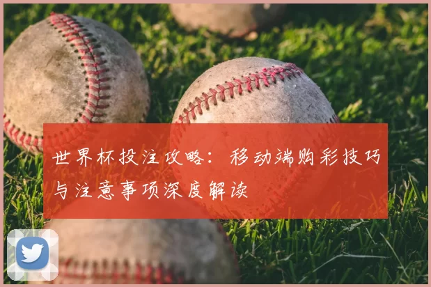 世界杯投注攻略:移动端购彩技巧与注意事项深度解读
