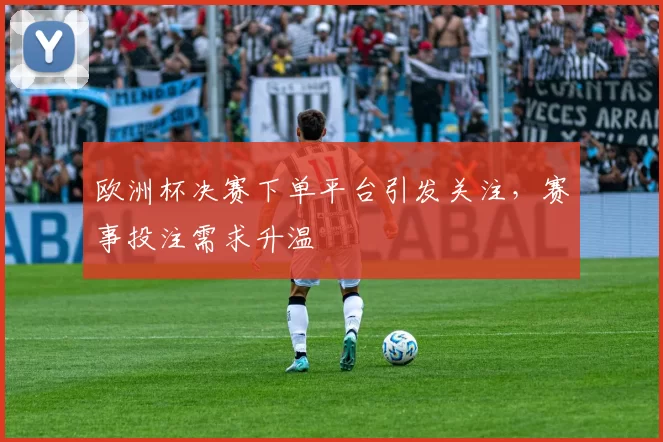欧洲杯决赛下单平台引发关注,赛事投注需求升温