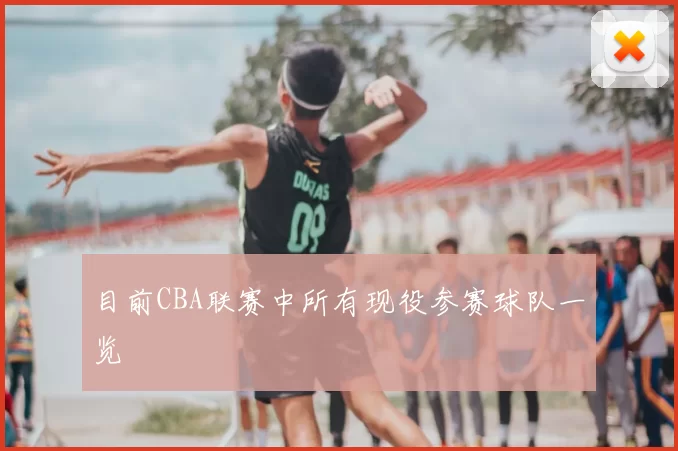目前CBA联赛中所有现役参赛球队一览