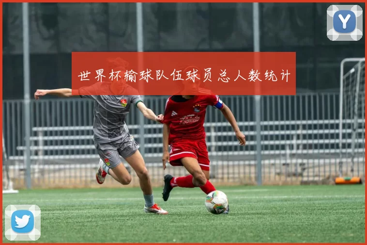 世界杯输球队伍球员总人数统计