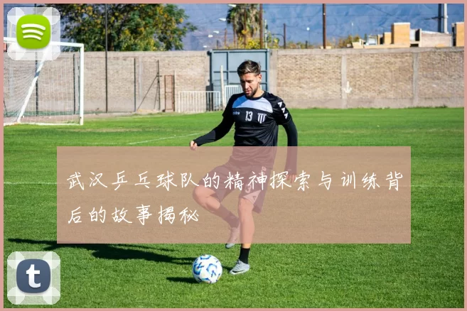 武汉乒乓球队的精神探索与训练背后的故事揭秘