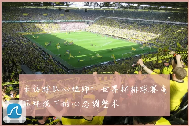 专访球队心理师：世界杯排球赛高压环境下的心态调整术
