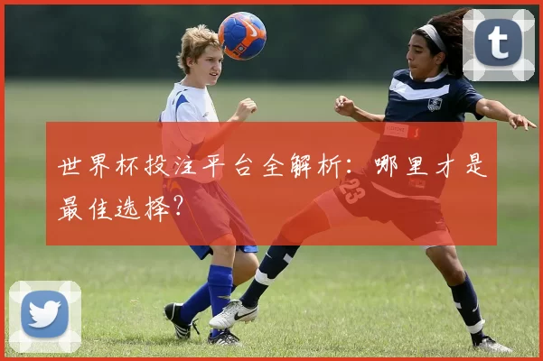 世界杯投注平台全解析：哪里才是最佳选择？