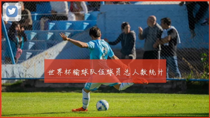 世界杯输球队伍球员总人数统计